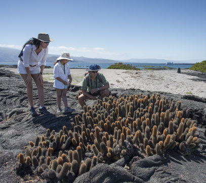 flora de galapagos 1