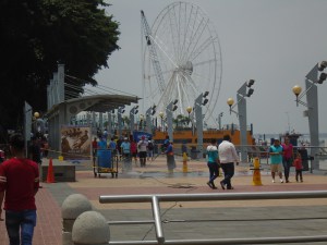 malacon2000 4 - Copy