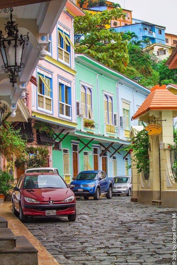 NUMA POMPILIO LLONA.jpg